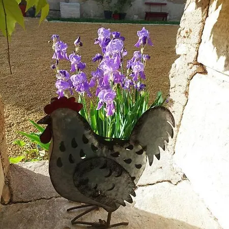Maison Les Iris - 3 Et 3 Salles De Bain - 3 à 6 Personnes - Futuroscope *