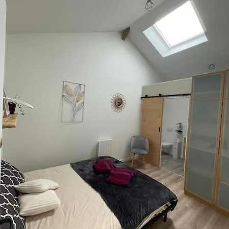 Maison Les Iris - 3 Et 3 Salles De Bain - 3 à 6 Personnes - Futuroscope Avanton